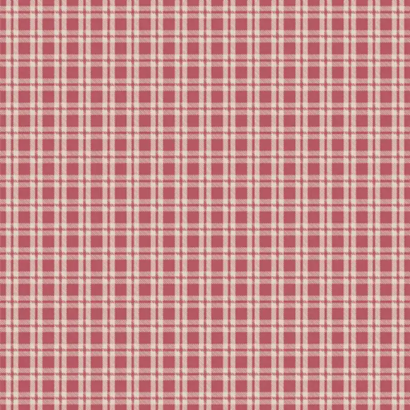 Art Gallery Bari J. Fairview Avenue Cozy Gingham sugar Neue Kollektion