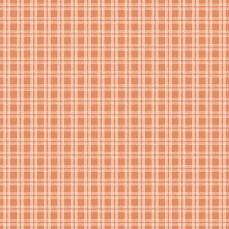 Premium Art Gallery Bari J. Fairview Avenue Cozy Gingham Birch