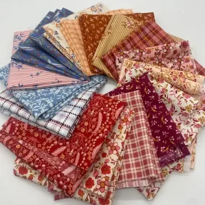 Fat Quarter Bundle Bari J. Fairview Avenue Günstig