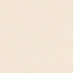 Meistverkauft Kona Cotton Solids Robert Kaufman natural 1242