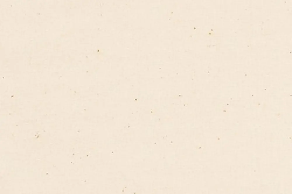 Meistverkauft Kona Cotton Solids Robert Kaufman natural 1242