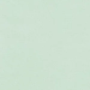 Ausverkauf Kona Cotton Solids Robert Kaufman Desert Green 849