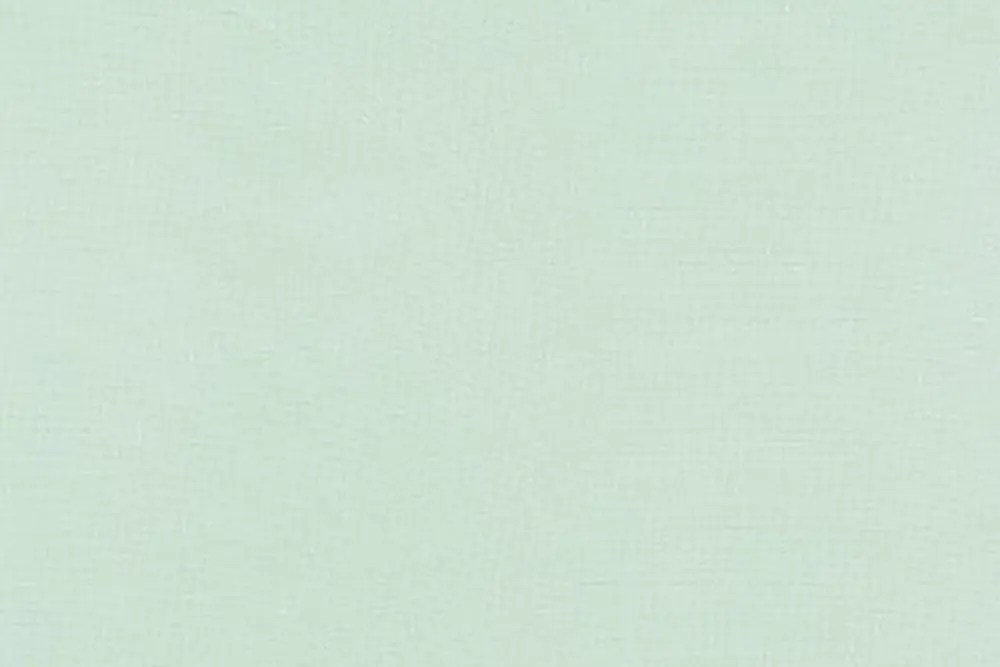 Ausverkauf Kona Cotton Solids Robert Kaufman Desert Green 849