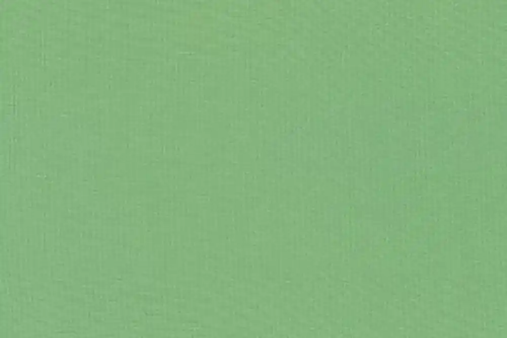 Kona Cotton Solids Robert Kaufman Celadon 1065 Sonderangebot