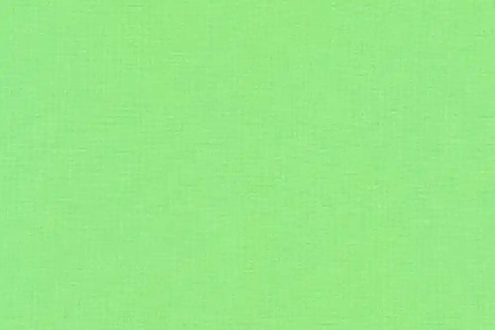 Ab Werk Kona Cotton Solids Robert Kaufman pear 145