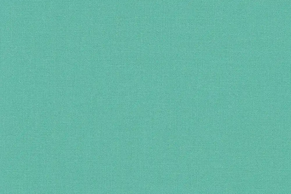 Kona Cotton Solids Robert Kaufman sage 1321 Top-Preis