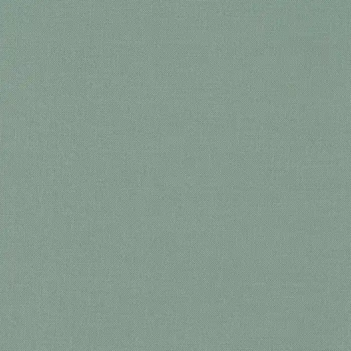 Kona Cotton Solids Robert Kaufman shale 456 Saisonangebot