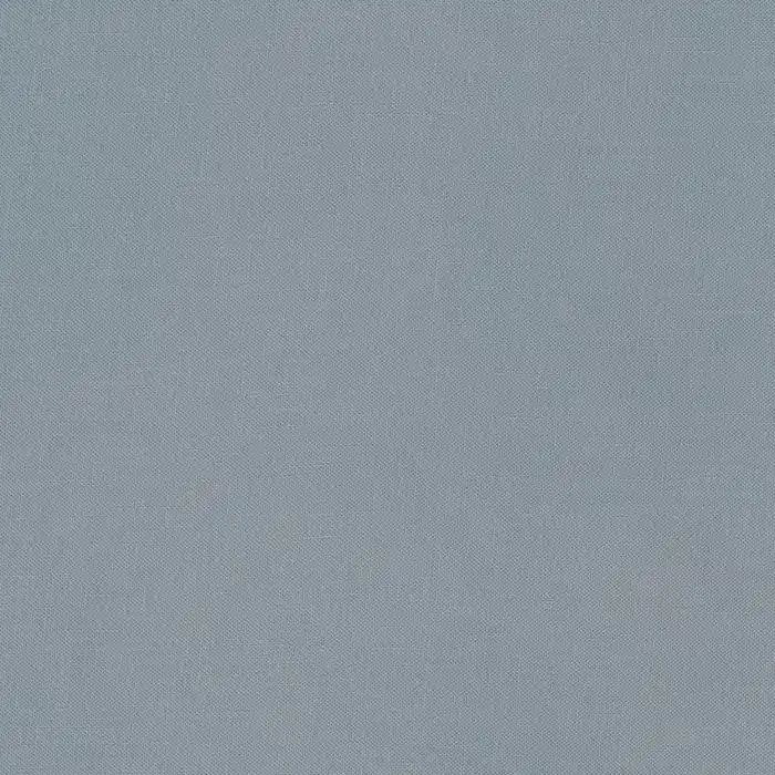 Echt Kona Cotton Solids Robert Kaufman titanium 500