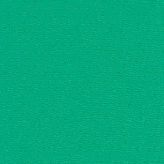 Kona Cotton Solids Robert Kaufman kale 445 Beliebt