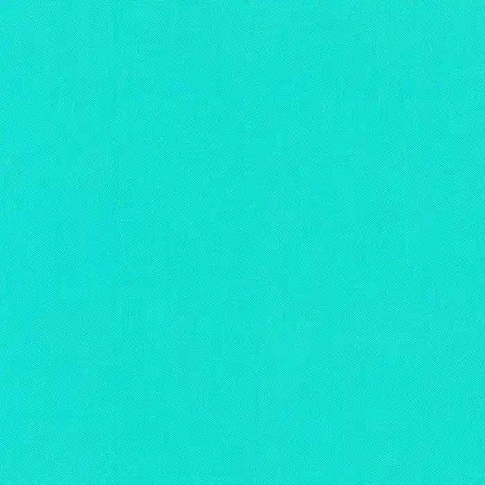 Kona Cotton Solids Robert Kaufman ferndale 1842 Exklusiv