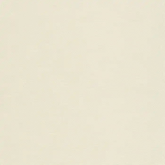 Neuheit Kona Cotton Solids Robert Kaufman ivory 1181