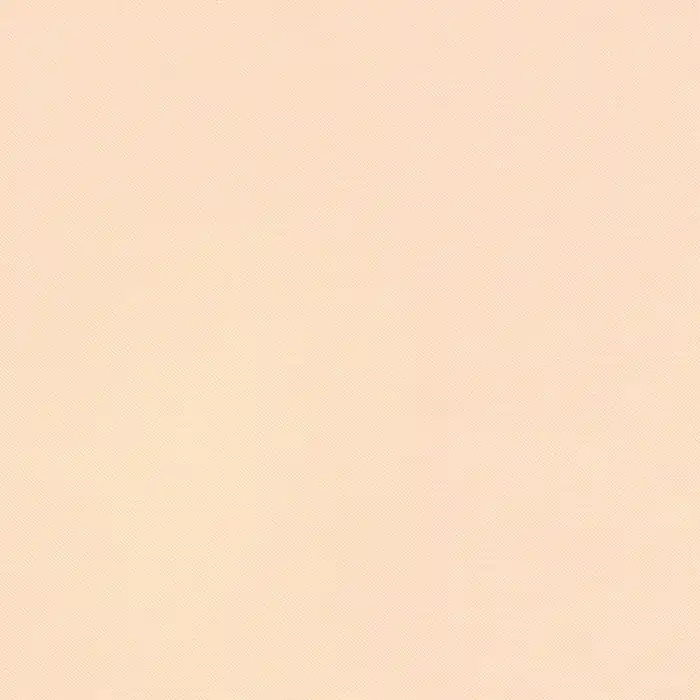 Preisreduziert Kona Cotton Solids Robert Kaufman lt. parfait