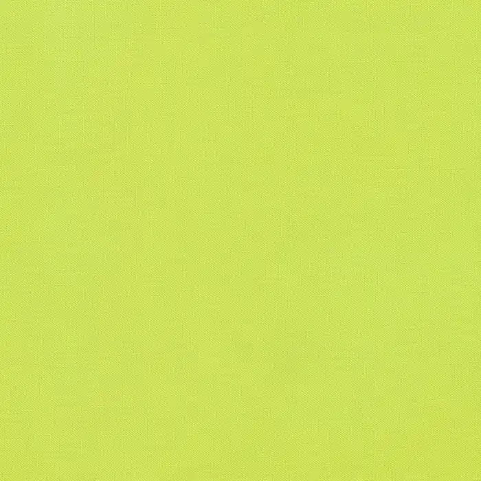 Sofort Bestellen Kona Cotton Solids Robert Kaufman cactus 192