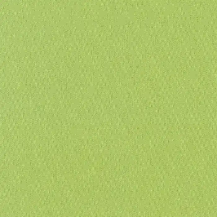 Preis Gesenkt Kona Cotton Solids Robert Kaufman cabbage 472