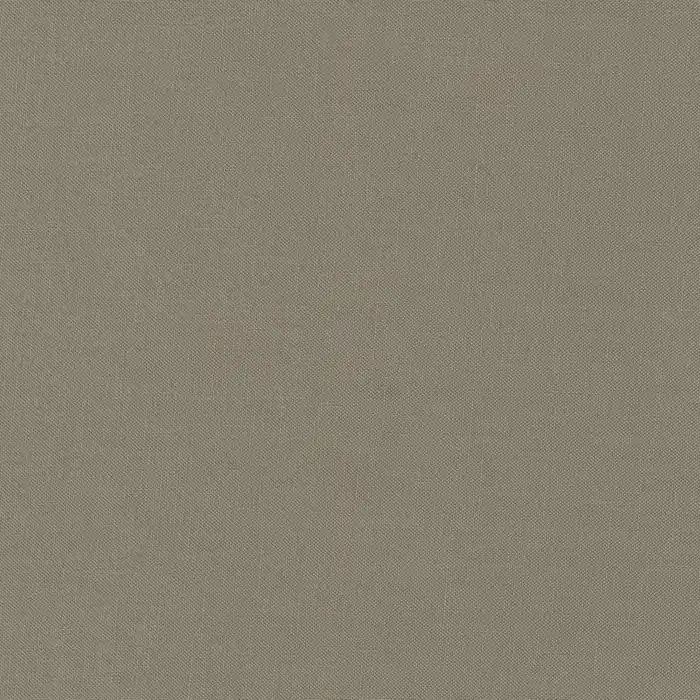 Geprüft Kona Cotton Solids Robert Kaufman zinc – 859