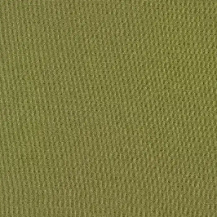 Top-Qualität Kona Cotton Solids Robert Kaufman ivy – 165