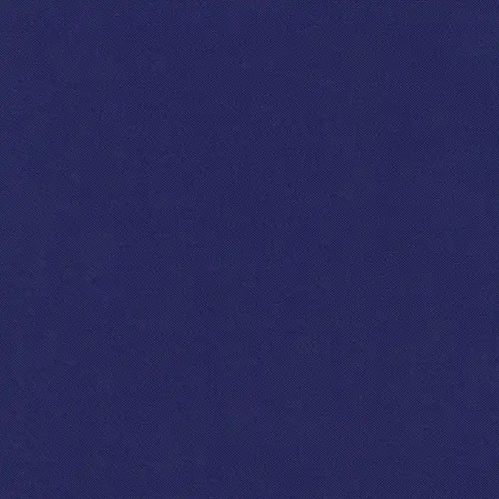 Aktuell Kona Cotton Solids Robert Kaufman Regal – 415