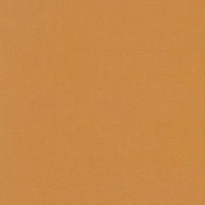 Schneller Versand Kona Cotton Solids Robert Kaufman caramel 1698
