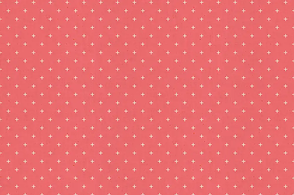 Nur Heute Ruby Star Society Add it up by Alexia Marcelle Abegg strawberry