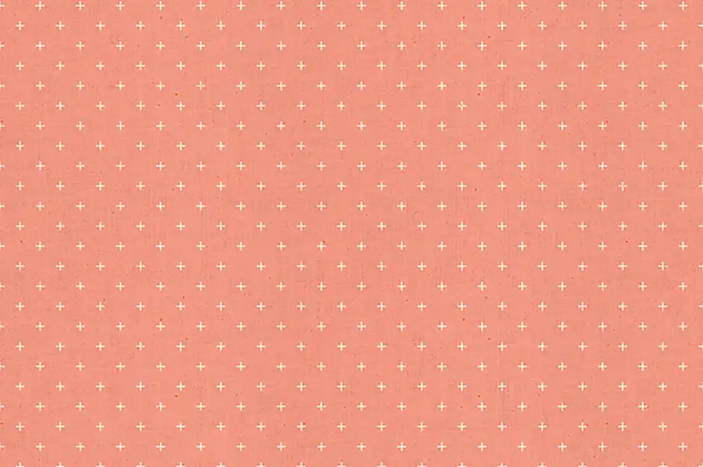 Ruby Star Society Add it up by Alexia Marcelle Abegg melon Neue Kollektion