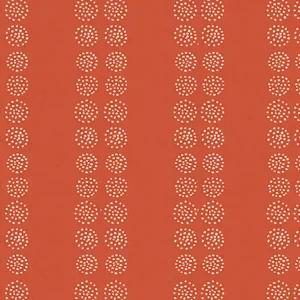 Ruby Star Society Heirloom by Alexia Marcelle Abegg - Seeds Persimmon Schnäppchen