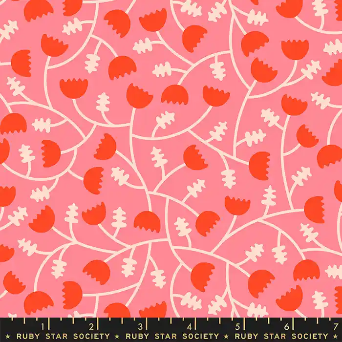 Zertifiziert Ruby Star Society Tomato Tomahto Kimberly Kight Flower Vines Strawberry