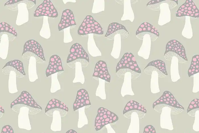 Saisonangebot Ruby Star Society Sarah Watts Firefly Mushrooms Ash