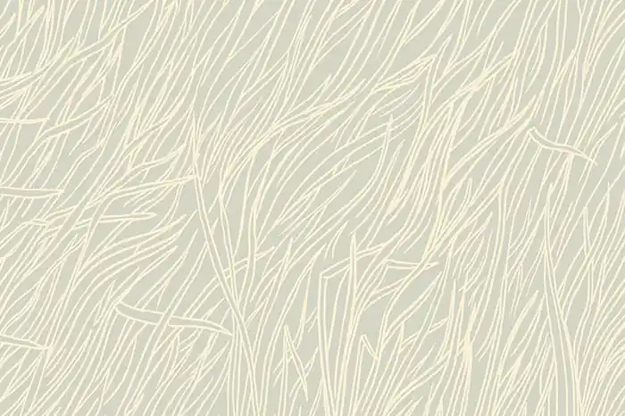 Limited Edition Ruby Star Society Sarah Watts Firefly Whisper Ash