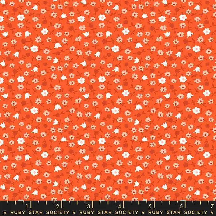 Ruby Star Society Kimberly Kight Lil Catalog Calico Florida Original