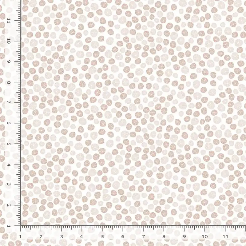 Exklusiv Dear Stella Fabrics Paint Love Studio Beyond the Sea Sanddollar white