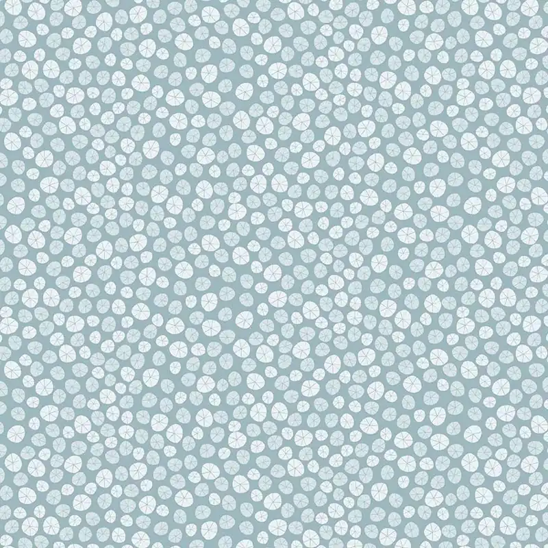 Dear Stella Fabrics Paint Love Studio Beyond the Sea Sanddollar sky Garantierte Lieferung