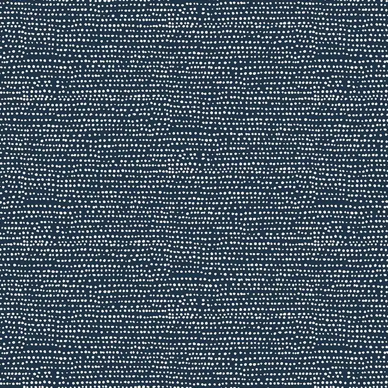 Sichere Zahlung Quilt Back Rückseitenstoff Dear Stella Moonscape Eclipse