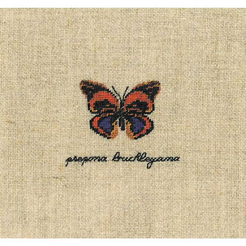 Solange Der Vorrat Reicht Le Bonheur des Dames Petit Point Stickpackung „Prepona Buckleyana Schmetterling Miniatur“, Zählmuster, 5x4cm