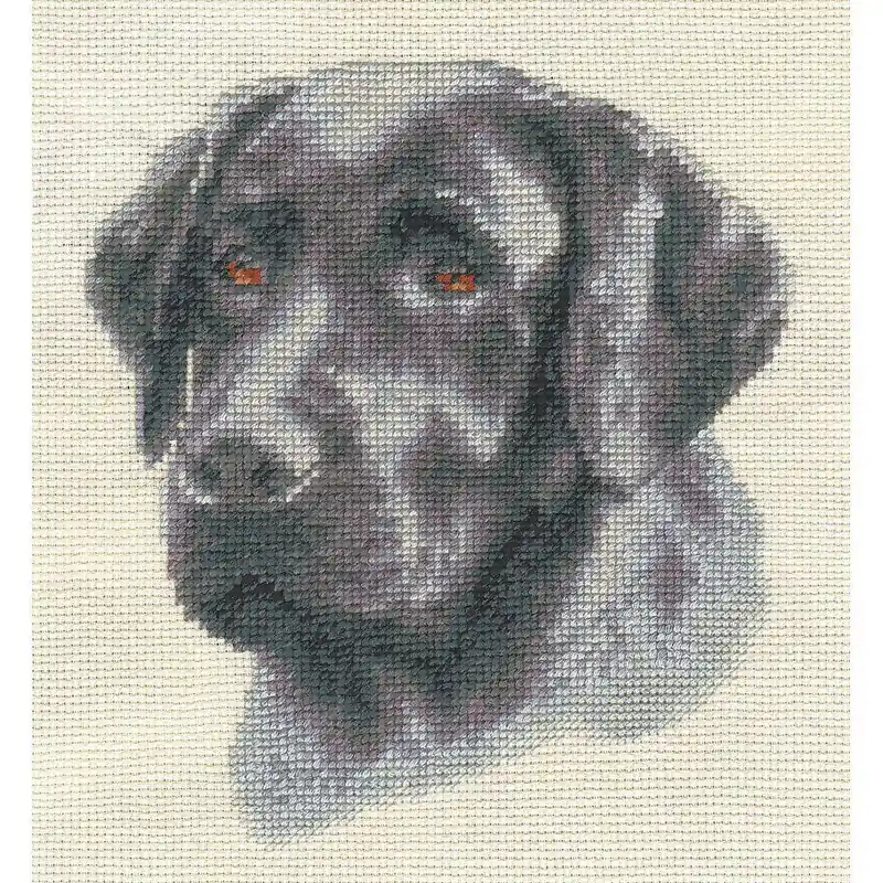 Panna Kreuzstichset „Schwarzer Labrador“ 17,5×23,5cm, Zählmuster Abverkauf