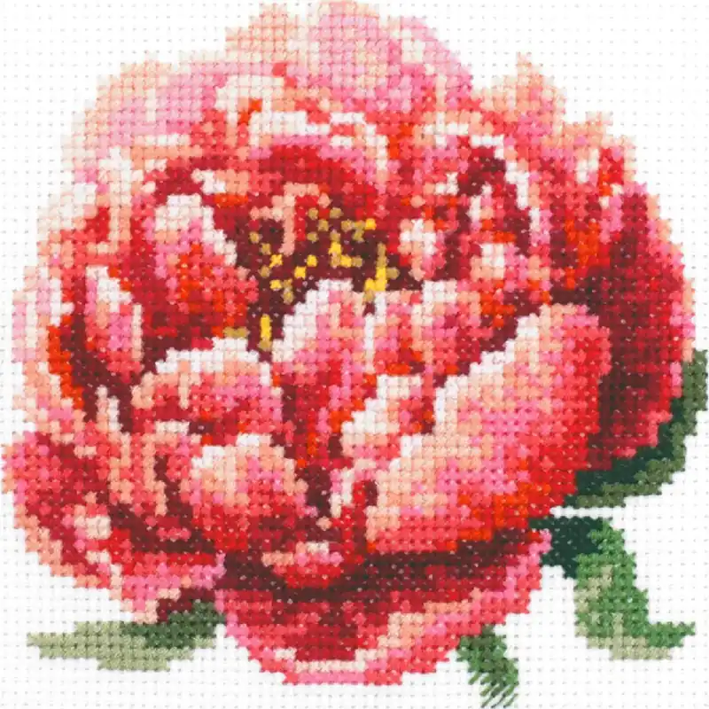 Jetzt Zugreifen Magic Needle Zweigart Edition Kreuzstich Set „Rote Pfingstrose“, Zählmuster, 11x11cm