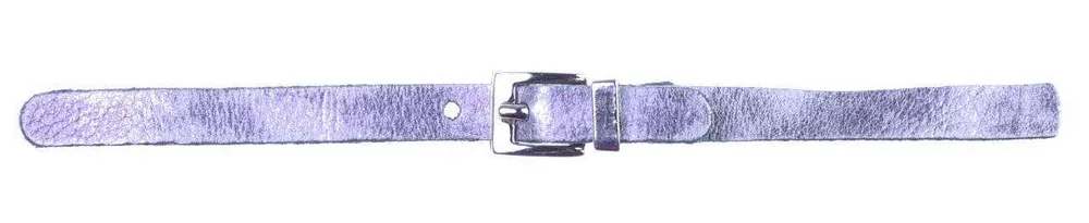 Jetzt Kaufen Zierteil mit Schnalle silber ZS-2