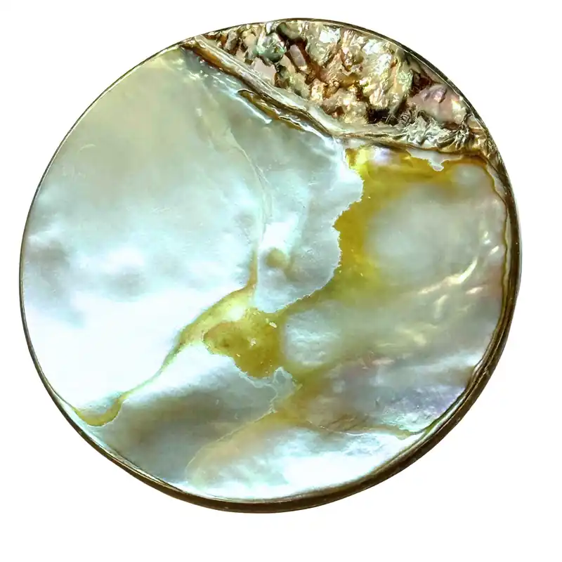 Geld-Zurück-Garantie Abalone-Perlmuttknopf – Unikat – Art.Nr. PL-AB-4057-50