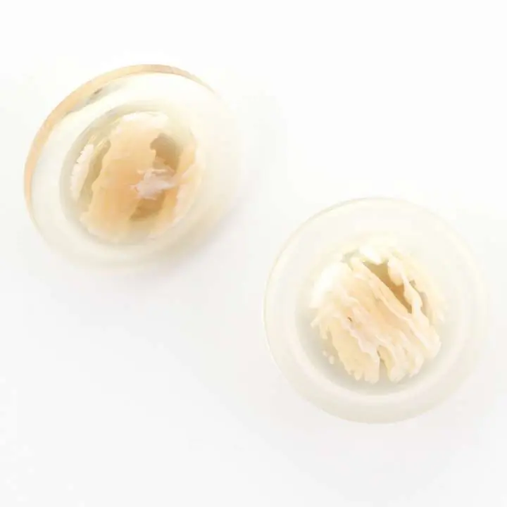 Transparenter Knopf beige KD-10 Markenware