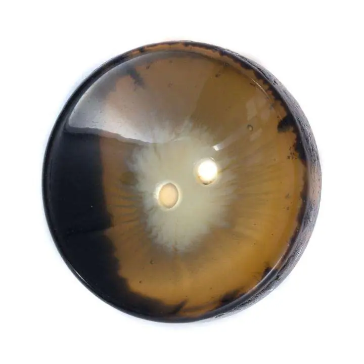 Finale Aktion Hornimitat Knopf KM-47