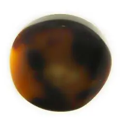 Hornimitat Knopf KM-51 braun Saisonangebot