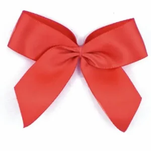 Preiswert 1 Stück - XL SATIN SCHLeife - TERRACoTTA - 6,5cm