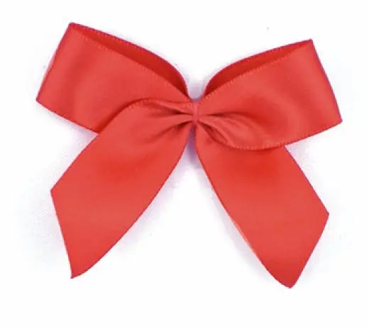 Preiswert 1 Stück – XL SATIN SCHLeife – TERRACoTTA – 6,5cm