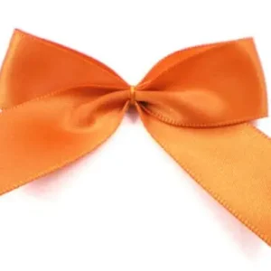 Im Trend 1 Stück - XL SATIN SCHLeife - RoST - 6,5cm