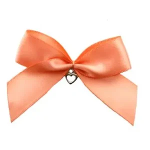 1 Stück - XL SATIN SCHLeife PEACH MIT HERZ ANHÄNGER - 6,5cm Kostenfreie Lieferung