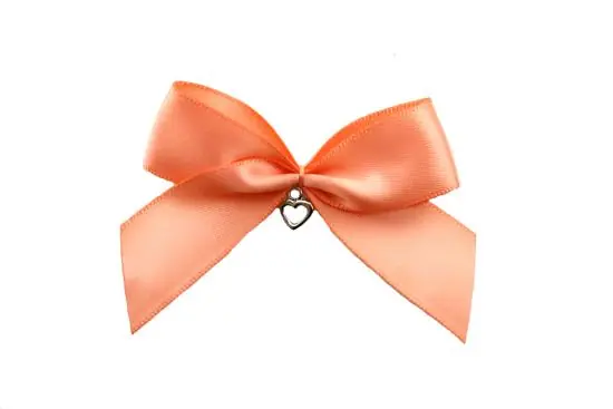 1 Stück – XL SATIN SCHLeife PEACH MIT HERZ ANHÄNGER – 6,5cm Kostenfreie Lieferung