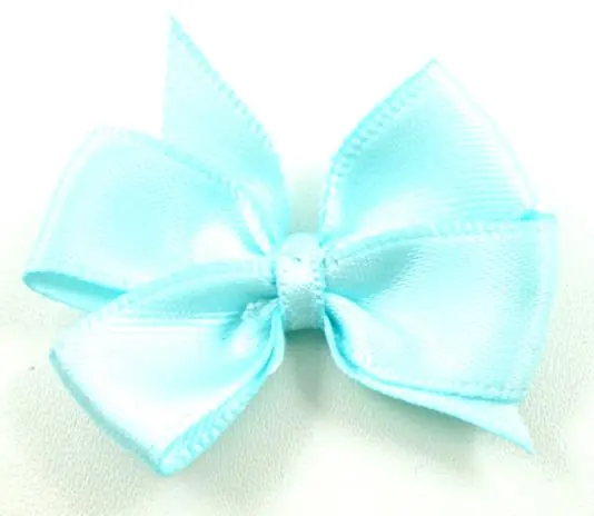 Garantierte Lieferung 1 Stück – SATIN TWIN SCHLeife – MINT – 4cm