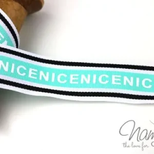 Sofort Bestellen 1 MTR. NICE WEBBAND - MINT - 3cm