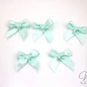 5 ♥ MiNi Schleifchen Mint ♥ Ab Werk