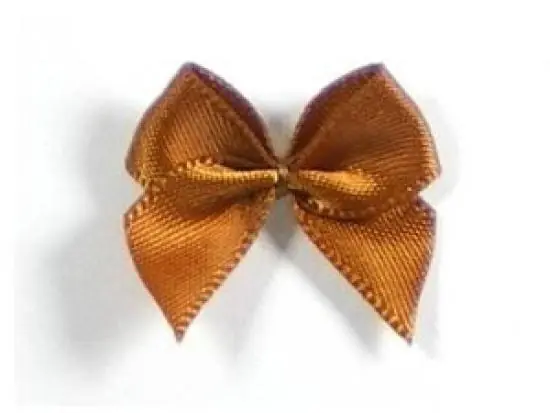 5 ♥ SATIN Schleifchen BRAUN ♥ Neuheit