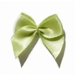 Preisknaller 5 ♥ SATIN Schleifchen LiME JUICE ♥